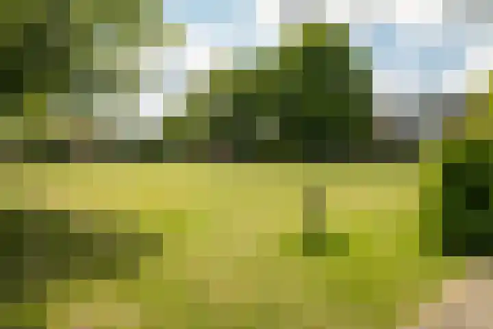 Christiaan Huygenslaan 24 II Hengelo thumbnail 20