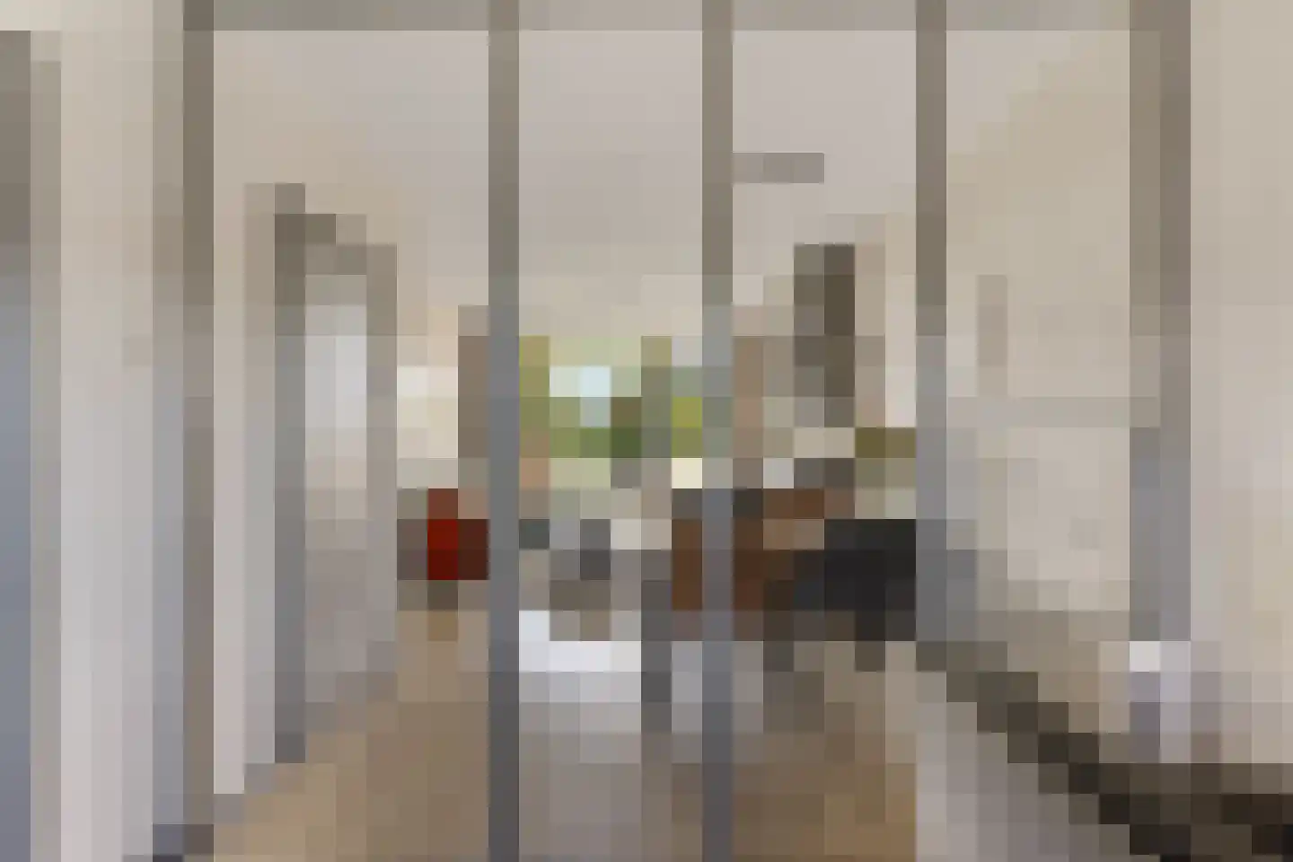 Christiaan Huygenslaan 26 II Hengelo thumbnail 14