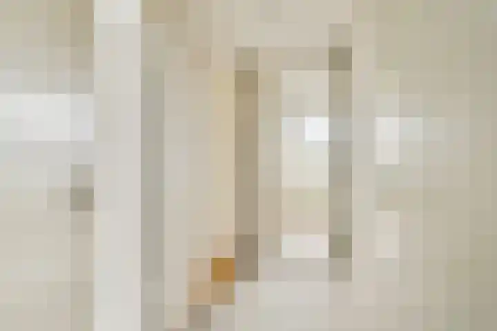Christiaan Huygenslaan 36 Spijkenisse thumbnail 14