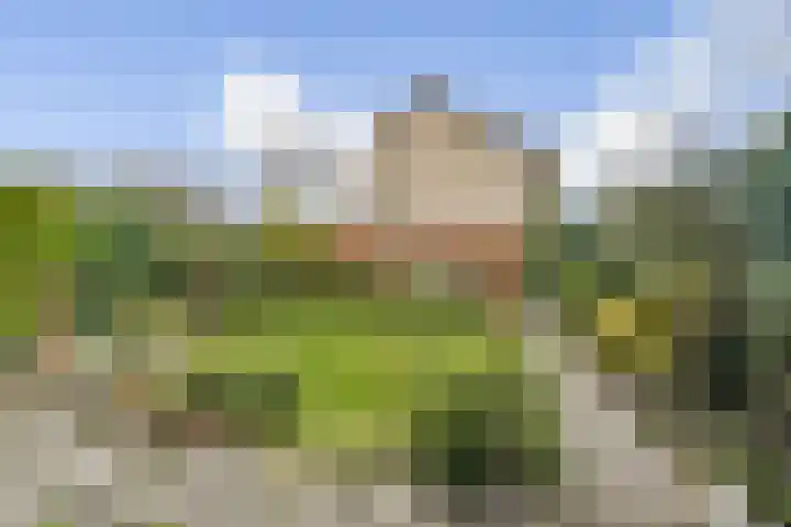 Christiaan Huygenslaan 36 Spijkenisse thumbnail 28