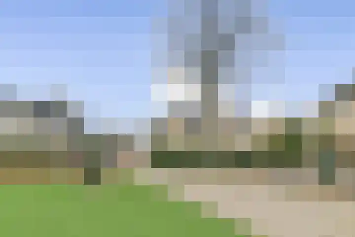 Christiaan Huygenslaan 36 Spijkenisse thumbnail 34