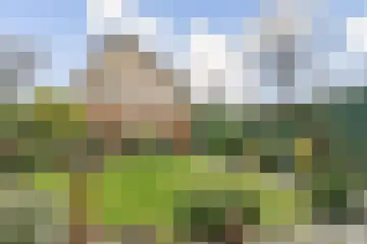 Christiaan Huygenslaan 36 Spijkenisse thumbnail 5