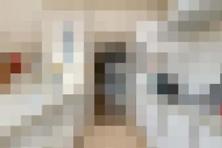 Christiaan Huygenslaan 7 Helmond thumbnail 24