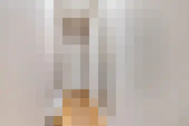 Christiaan Huygenslaan 7 Helmond thumbnail 26