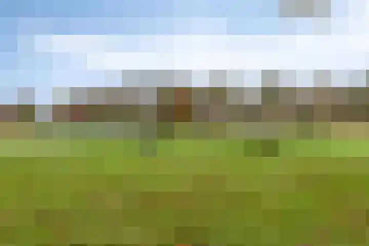 Christiaan Huygenslaan 7 Helmond thumbnail 37
