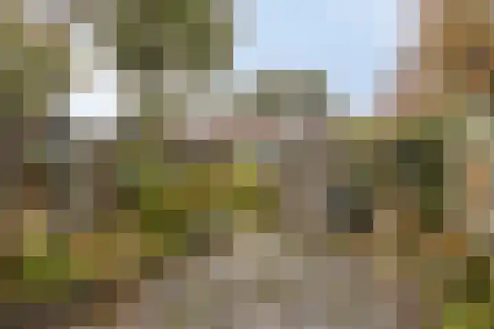 Christiaan Huygenslaan 72 Soesterberg thumbnail 18