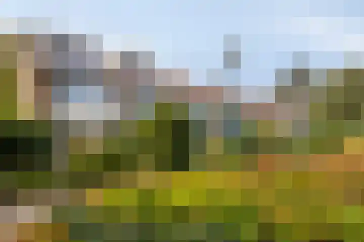 Christiaan Huygenslaan 72 Soesterberg thumbnail 20