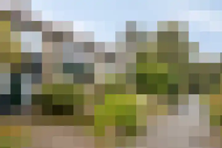 Christiaan Huygenslaan 72 Soesterberg thumbnail 21