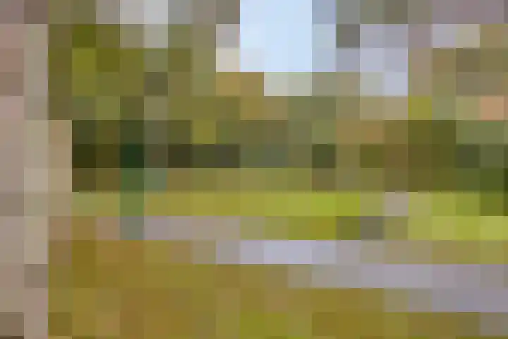 Christiaan Huygenslaan 72 Soesterberg thumbnail 22