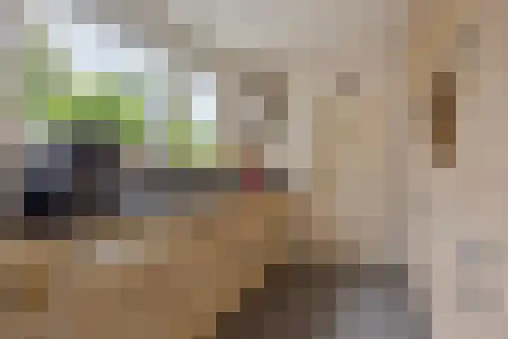 Christiaan Huygenslaan 8 Hengelo thumbnail 12