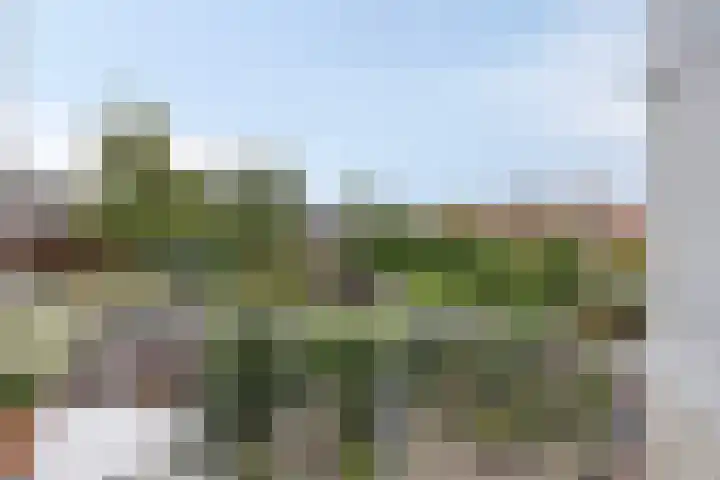 Christiaan Huygenslaan 8 Hengelo thumbnail 17