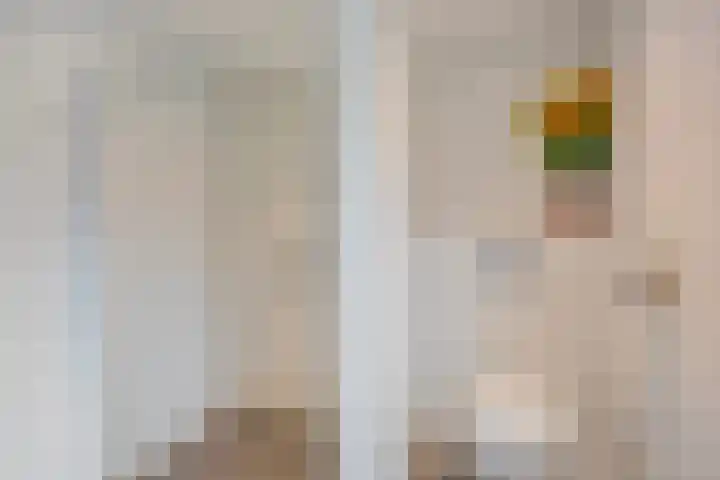 Christiaan Huygenslaan 8 Hengelo thumbnail 18
