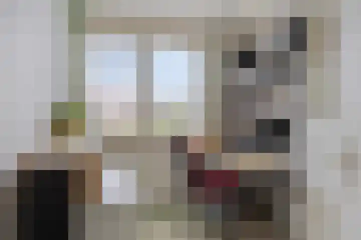 Christiaan Huygenslaan 8 Hengelo thumbnail 22