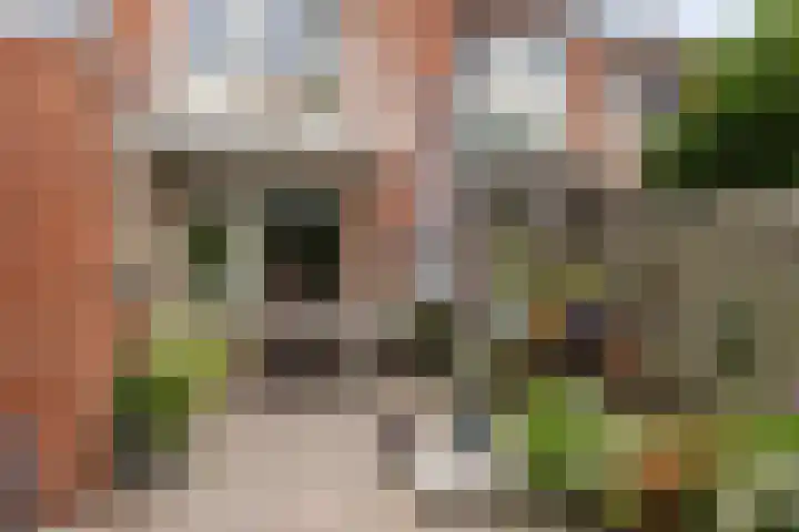 Christiaan Huygenslaan 8 Hengelo thumbnail 27