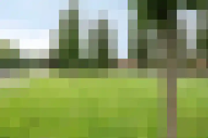 Christiaan Huygenslaan 8 Hengelo thumbnail 36