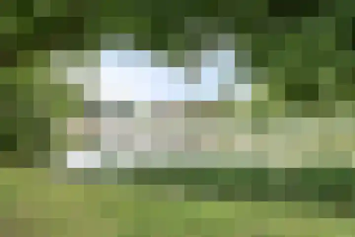 Christiaan Huygenslaan 8 Hengelo thumbnail 4