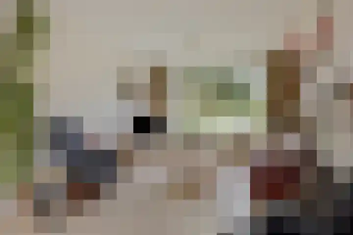 Christiaan Huygenslaan 8 Hengelo thumbnail 7