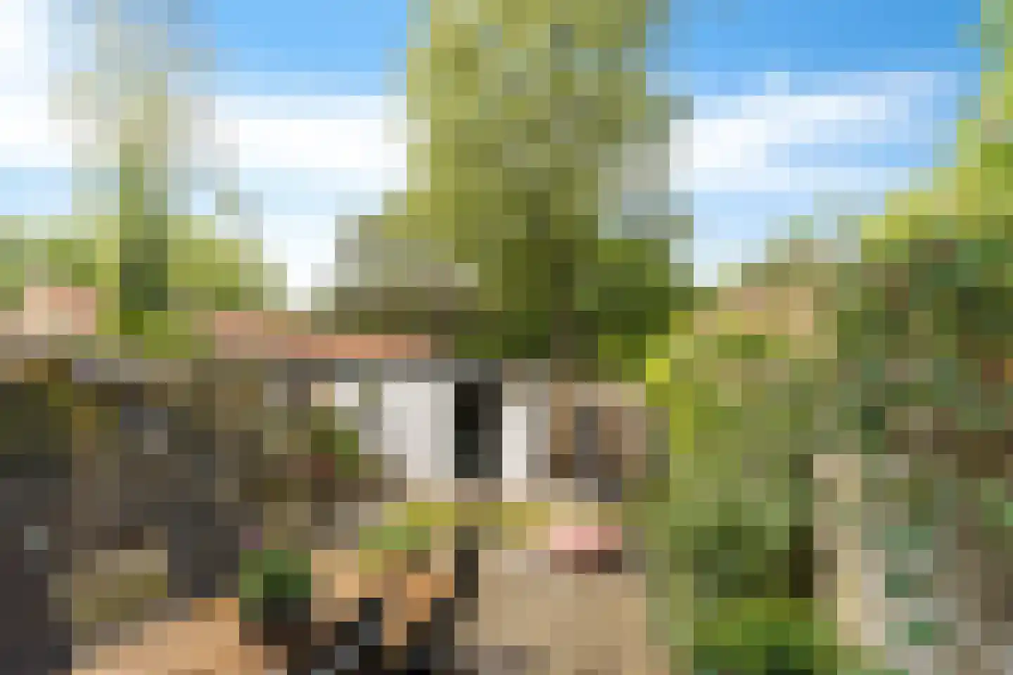 Christiaan Huygenslaan 84 Soesterberg thumbnail 37