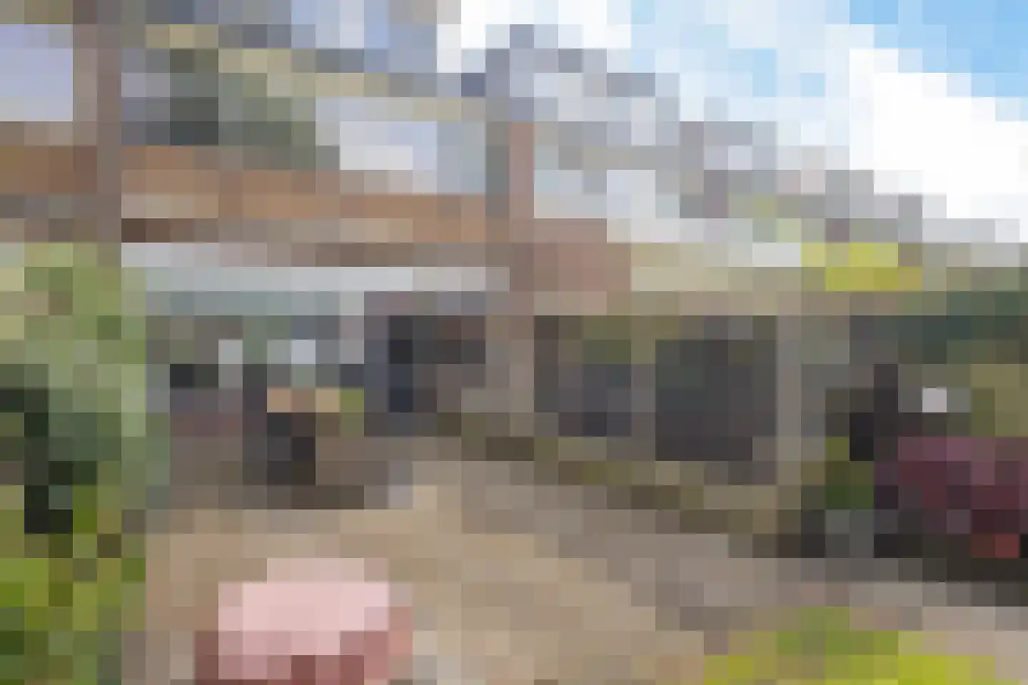 Christiaan Huygenslaan 84 Soesterberg thumbnail 39