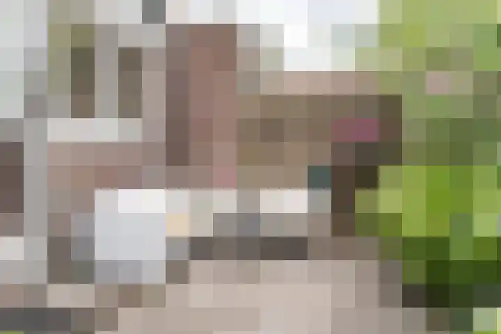 Christiaan Huygensplein 6 Haarlem thumbnail 16