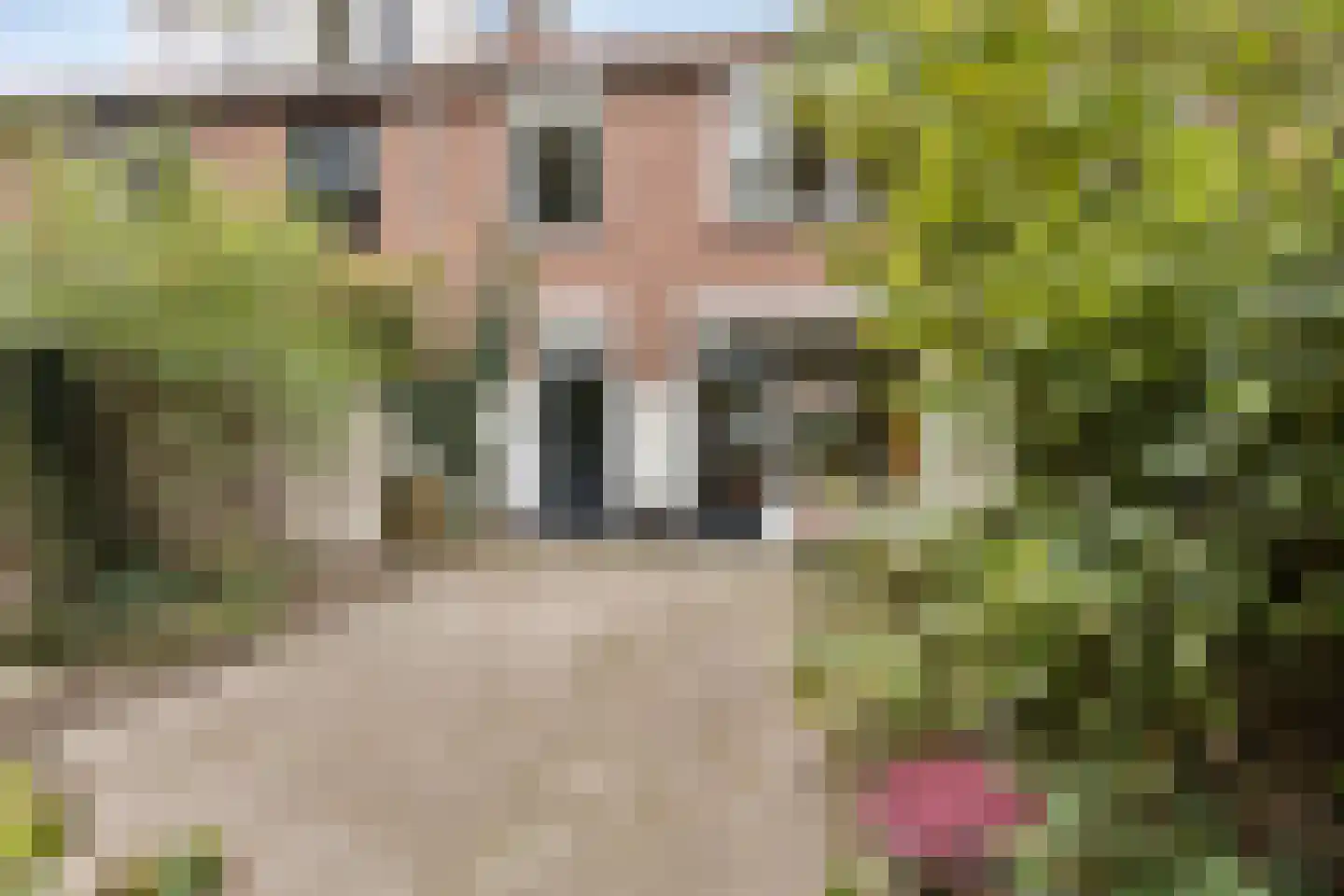 Christiaan Huygensstraat 13 Breda thumbnail 10