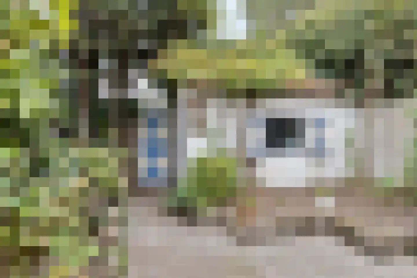 Christiaan Huygensstraat 13 Breda thumbnail 20