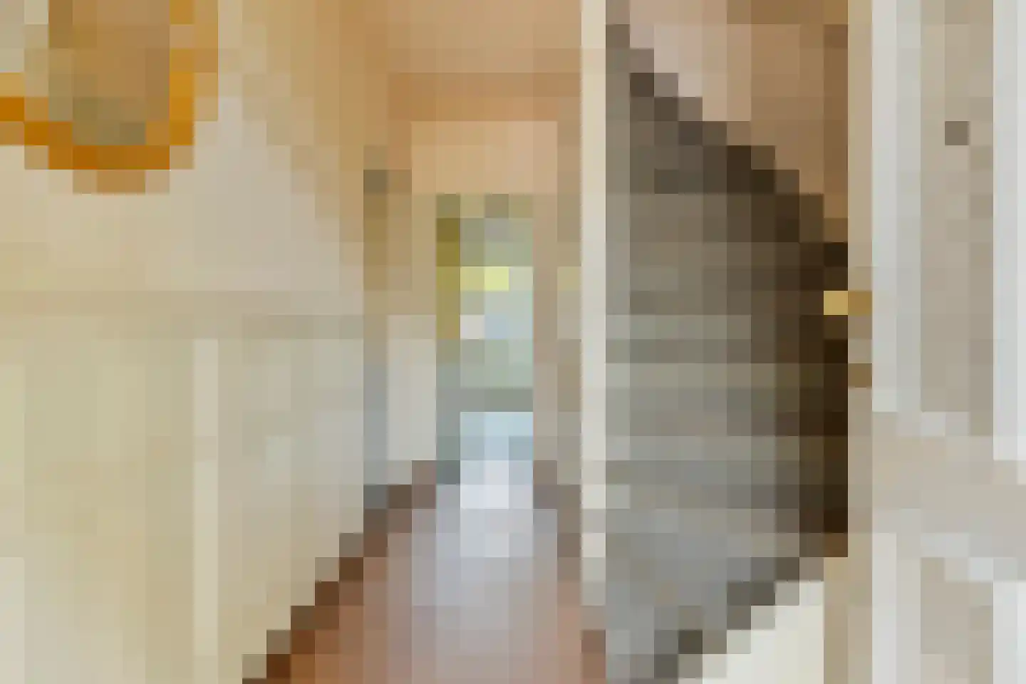 Christiaan Huygensstraat 13 Breda thumbnail 5