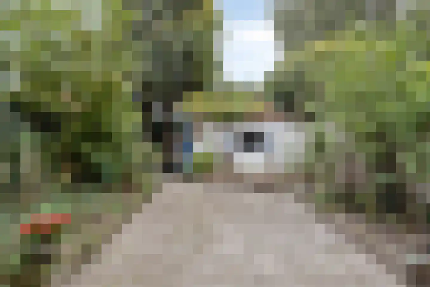 Christiaan Huygensstraat 13 Breda thumbnail 9