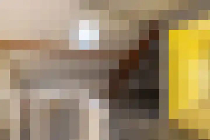 Christiaan Huygensstraat 18 Tilburg thumbnail 24