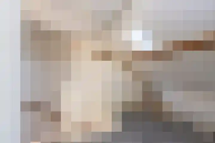 Christiaan Huygensstraat 18 Tilburg thumbnail 25