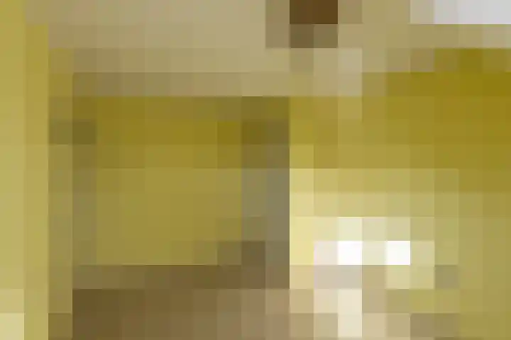 Christiaan Huygensstraat 18 Tilburg thumbnail 27