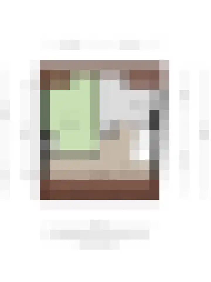 Christiaan Huygensstraat 18 Tilburg thumbnail 38