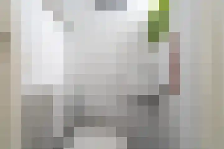 Christiaan Huygensstraat 26 Tilburg thumbnail 10