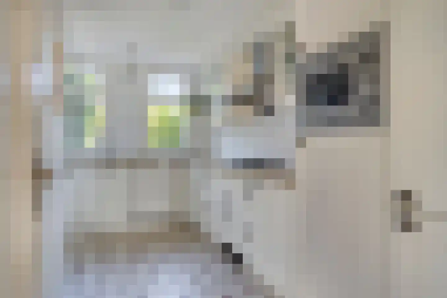 Christiaan Huygensstraat 41 Tilburg thumbnail 11