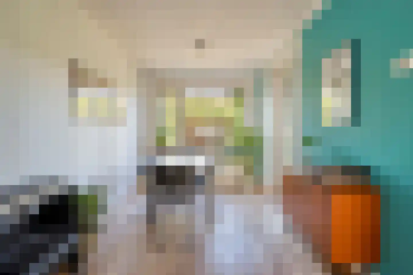 Christiaan Huygensstraat 41 Tilburg thumbnail 8