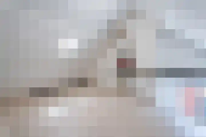 Christiaan Huygensstraat 48 b Tilburg thumbnail 24