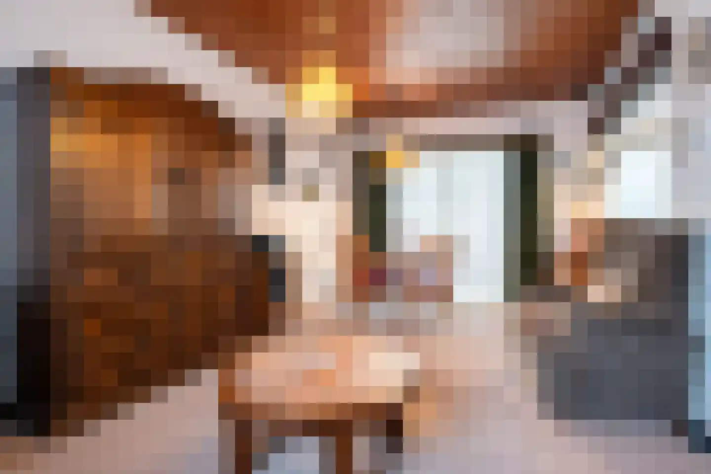 Christiaan Huygensstraat 50 a Tilburg thumbnail 5