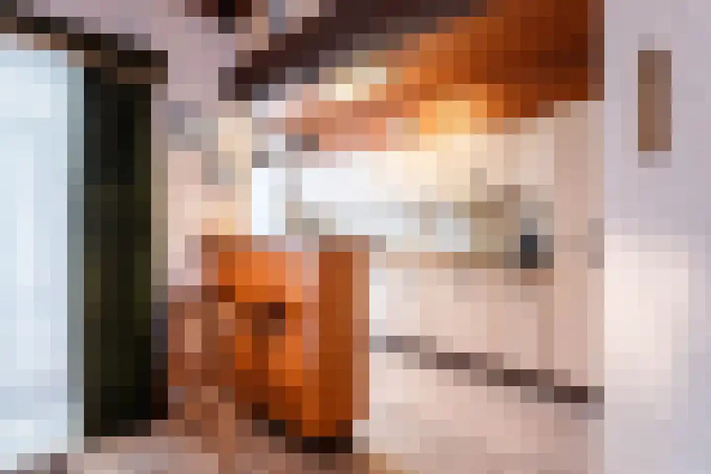 Christiaan Huygensstraat 50 a Tilburg thumbnail 7
