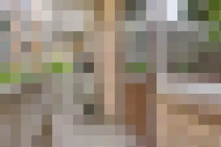 Christiaan Huygensweg 26 's-Hertogenbosch thumbnail 15