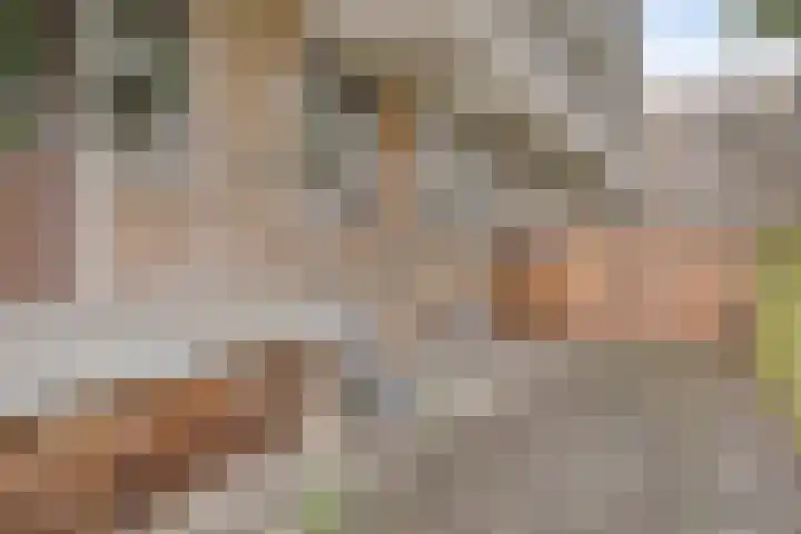 Christiaan Huygensweg 26 's-Hertogenbosch thumbnail 17