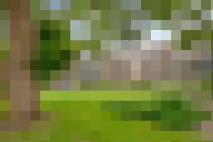 Christiaan Huygensweg 26 's-Hertogenbosch thumbnail 19