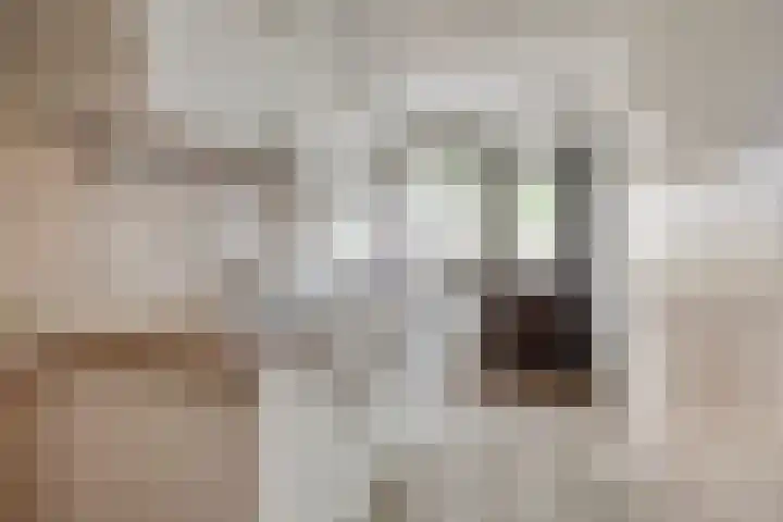 Christiaan Huygensweg 26 's-Hertogenbosch thumbnail 9