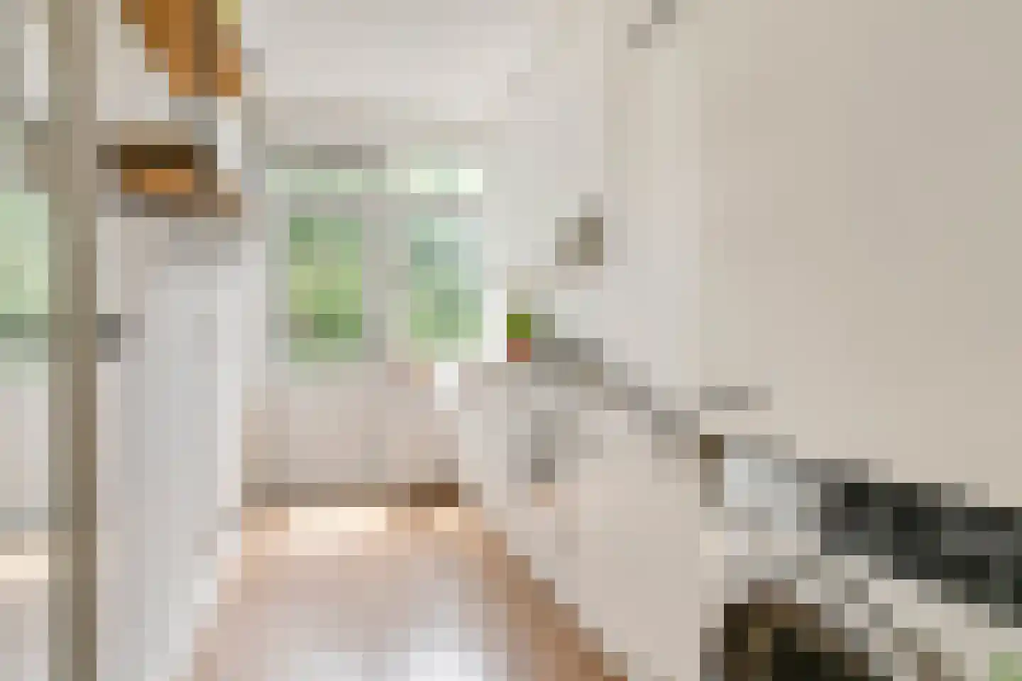 Christiaan Huygensweg 40 's-Hertogenbosch thumbnail 11