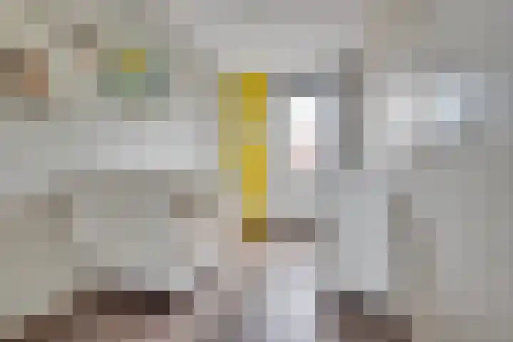 Christiaan Kannemansstraat 36 Rosmalen thumbnail 18
