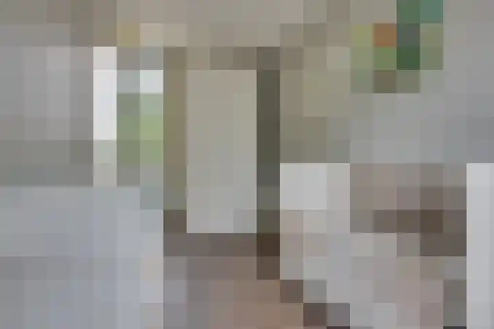 Christiaan Kannemansstraat 36 Rosmalen thumbnail 19