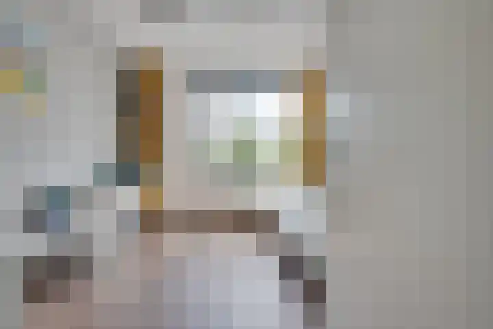 Christiaan Kannemansstraat 36 Rosmalen thumbnail 21