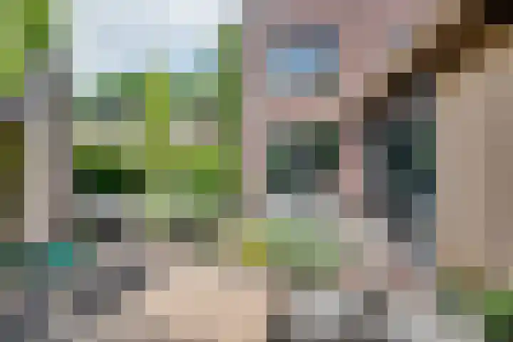 Christiaan Kannemansstraat 36 Rosmalen thumbnail 27