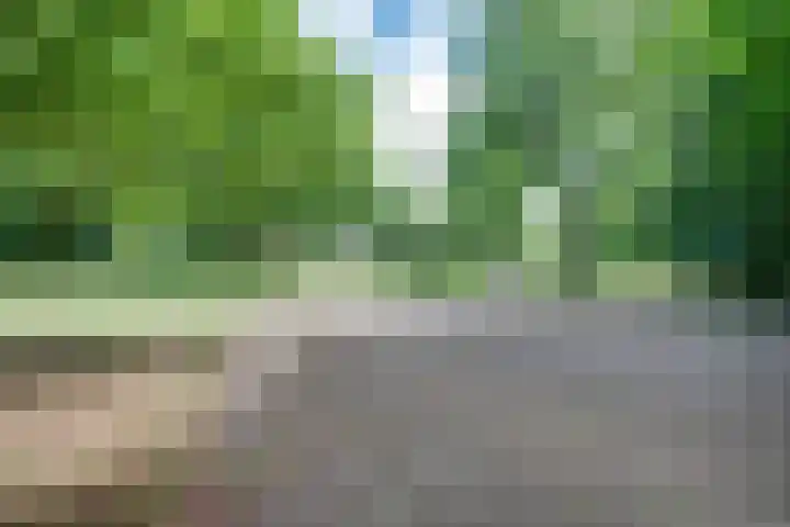 Christiaan Kannemansstraat 36 Rosmalen thumbnail 33