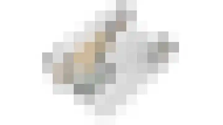 Christiaan Kannemansstraat 36 Rosmalen thumbnail 37
