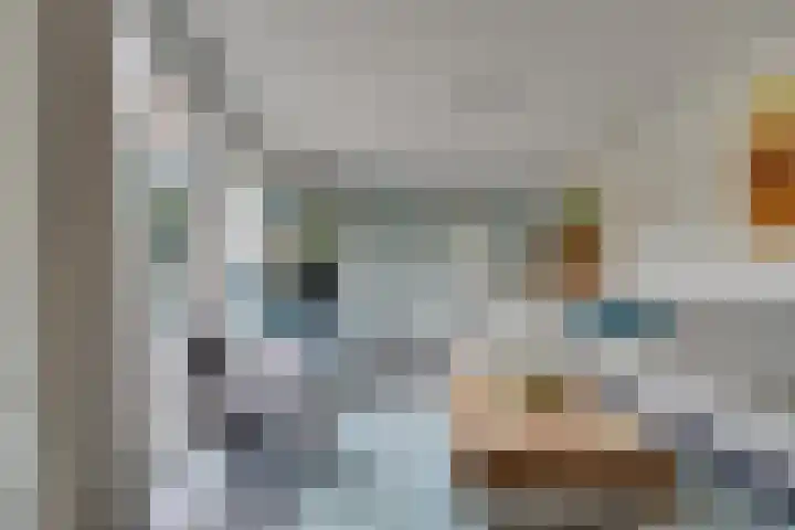 Christiaan Kannemansstraat 36 Rosmalen thumbnail 7